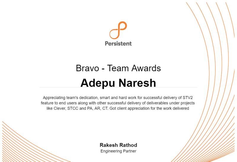 Bravo Team Award - Persistent